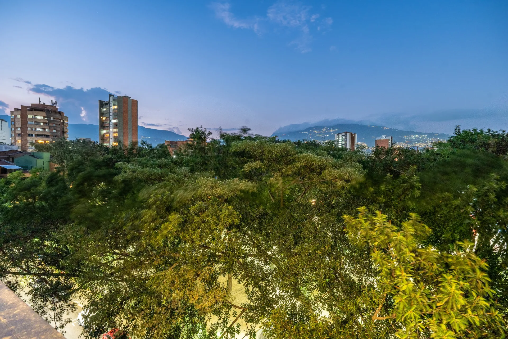 Copas de los árboles al anochecer, Medellín